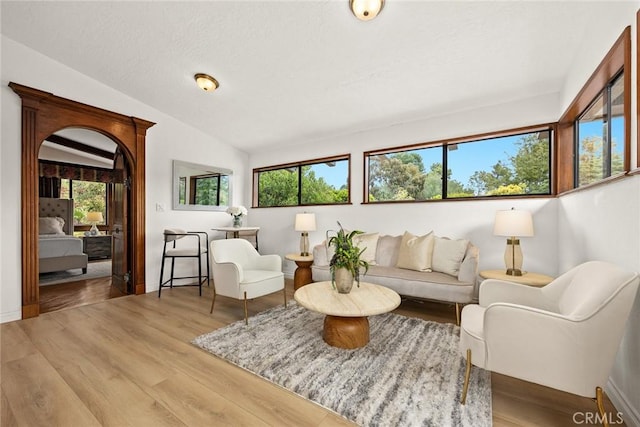 interior space with vaulted ceiling and wood finished floors