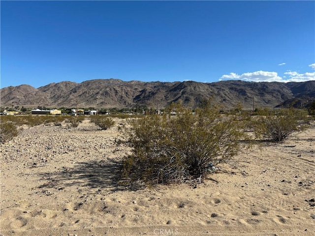1 Morongo Rd Unit 29, Palms, CA 92277