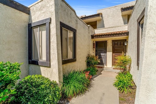 entrance to property featuring stucco siding and a tiled roof