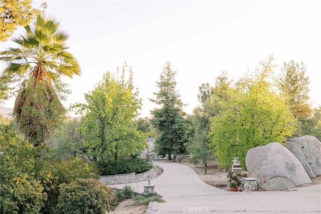 37450 Downey Rd, Temecula, CA 92592 - photo 3
