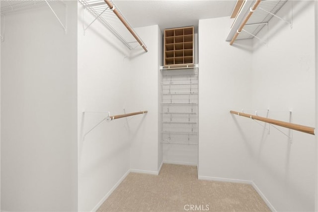 spacious closet with carpet