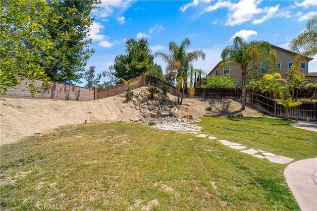 view of yard with a fenced backyard