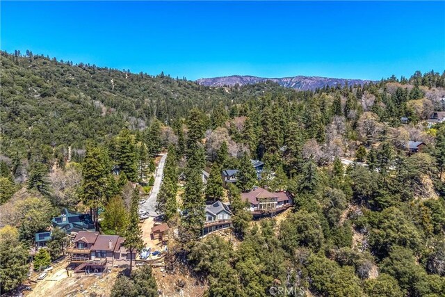 6377 Sugar Pines Cir, Angelus Oaks, CA 92305 - bird's eye view of a forest and a mountain backdrop