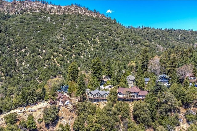 6377 Sugar Pines Cir, Angelus Oaks, CA 92305 - bird's eye view of a forest and mountains