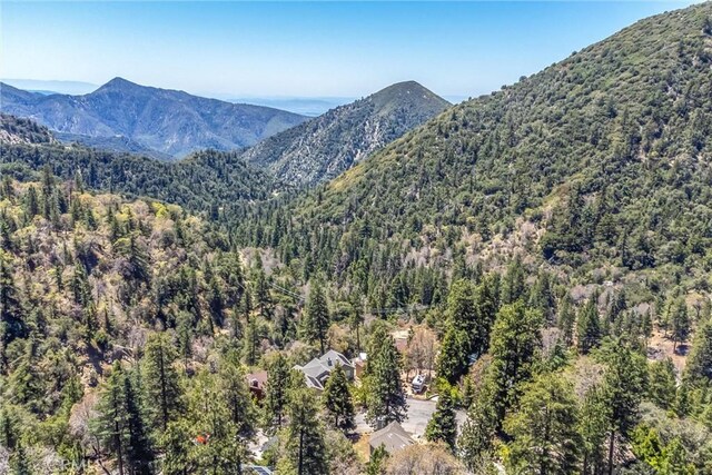 6377 Sugar Pines Cir, Angelus Oaks, CA 92305 - view of mountain backdrop with a heavily wooded area