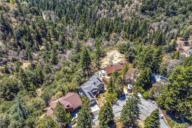 6377 Sugar Pines Cir, Angelus Oaks, CA 92305 - aerial view of property and surrounding area featuring a forest