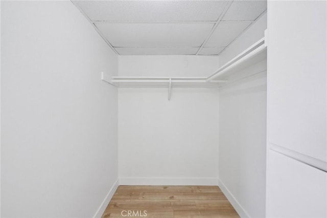 10966 Rochester Ave Unit 5D, Los Angeles, CA 90024 - walk in closet with light wood-style flooring