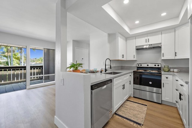 kitchen with light wood-type flooring, light countertops, under cabinet range hood, a sink, and appliances with stainless steel finishes