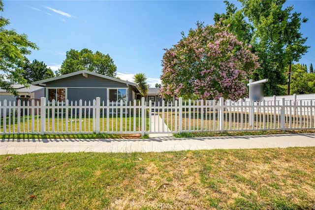 view of front of house featuring a fenced front yard and a front lawn
