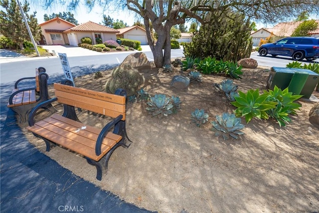 1057 Ridge Heights Dr, Fallbrook, CA 92028 - view of yard
