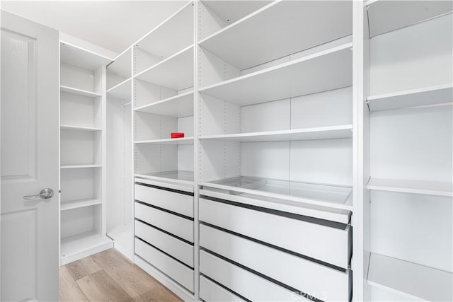 walk in closet featuring light wood-style flooring