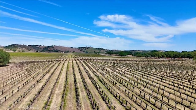 53600 Bradley Lockwood Rd, Lockwood, CA 93932 - photo 48