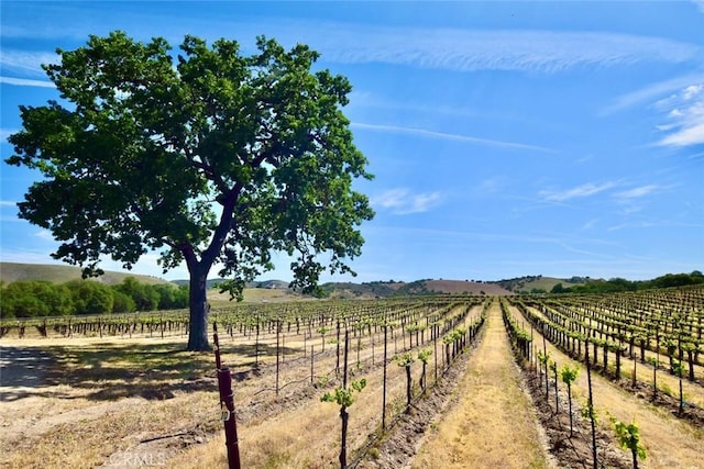 53600 Bradley Lockwood Rd, Lockwood, CA 93932 - photo 49
