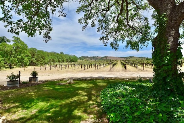 53600 Bradley Lockwood Rd, Lockwood, CA 93932 - photo 30