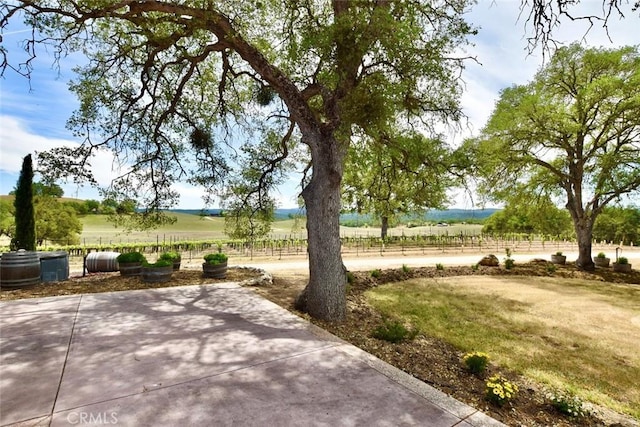 53600 Bradley Lockwood Rd, Lockwood, CA 93932 - photo 12