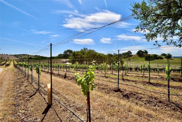 53600 Bradley Lockwood Rd, Lockwood, CA 93932 - photo 50