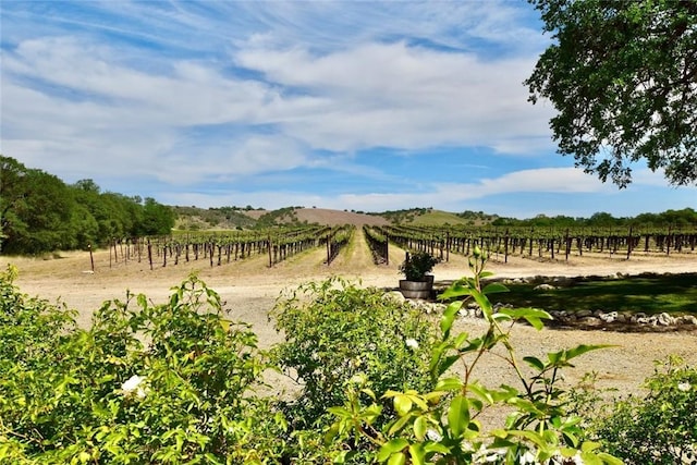 53600 Bradley Lockwood Rd, Lockwood, CA 93932 - photo 52