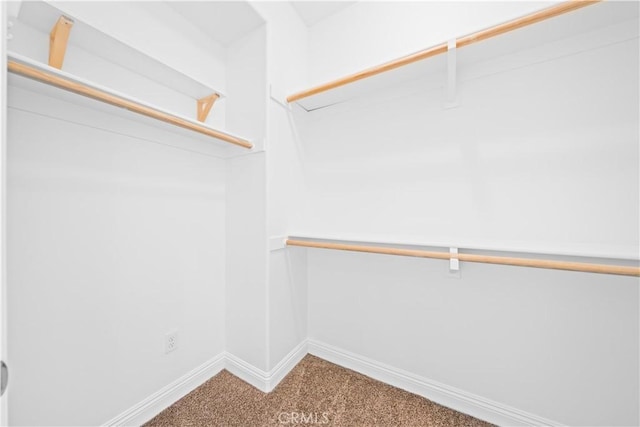 3040 E Coalinga Dr, Brea, CA 92821 - walk in closet with carpet