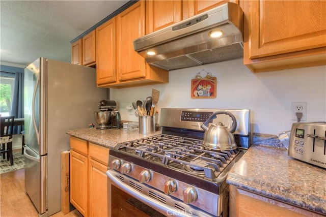 kitchen with under cabinet range hood, stainless steel appliances, stone counters, and light wood-type flooring