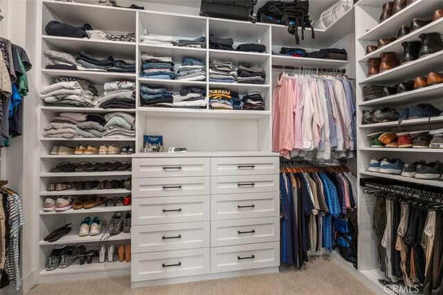 297 Sawbuck, Irvine, CA 92618 - spacious closet with light carpet