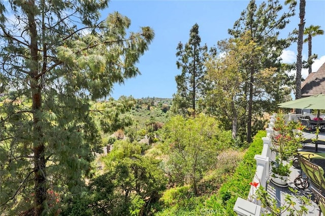 10302 Broadview Pl, North Tustin, CA 92705 - view of nature