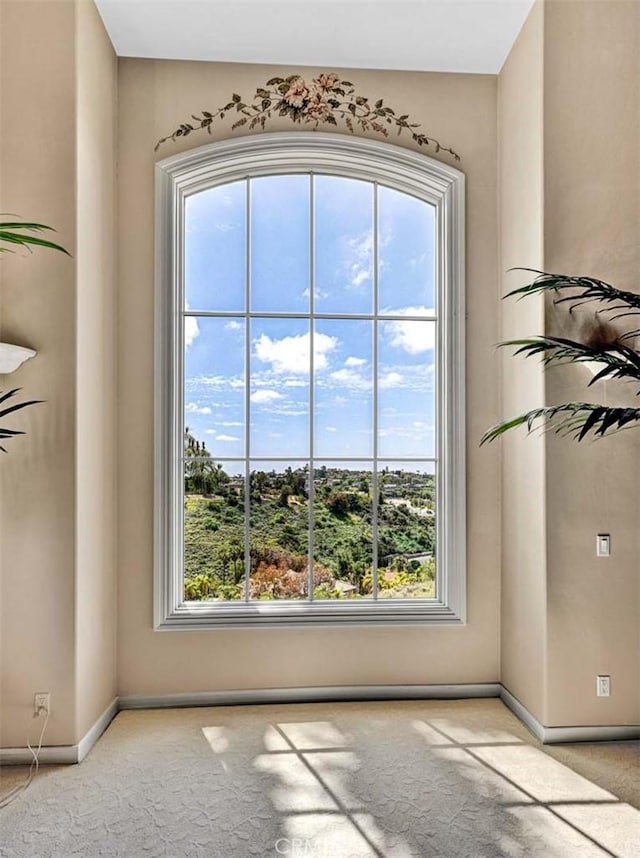 10302 Broadview Pl, North Tustin, CA 92705 - interior details with carpet flooring and baseboards
