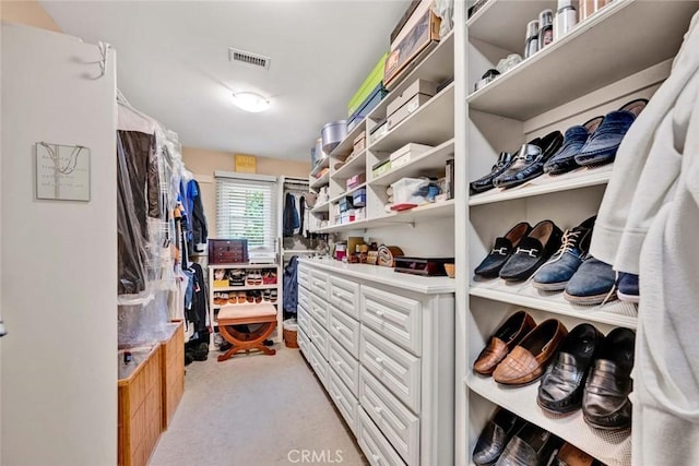 10302 Broadview Pl, North Tustin, CA 92705 - walk in closet with light carpet and visible vents