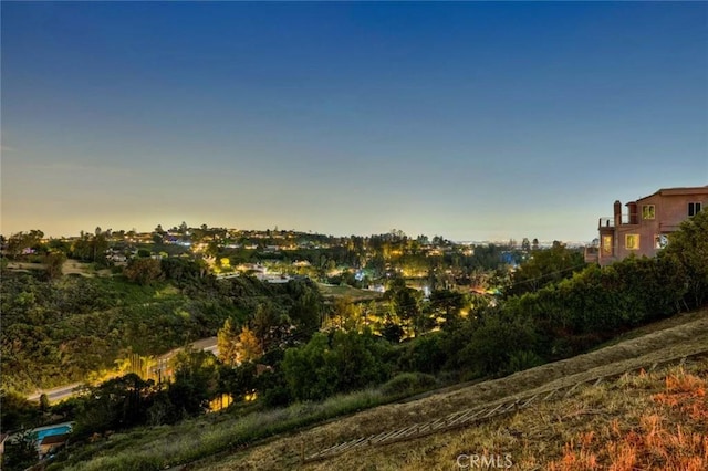 10302 Broadview Pl, North Tustin, CA 92705 - view of local wilderness