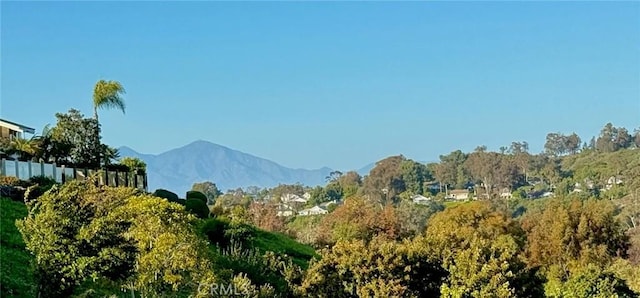 14 Woodsong Dr, Laguna Niguel, CA 92677 - mountain view