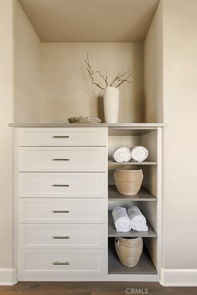 101 Via Artemesia, San Clemente, CA 92672 - view of closet