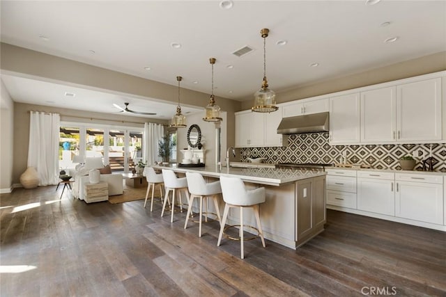 101 Via Artemesia, San Clemente, CA 92672 - kitchen with under cabinet range hood, white cabinetry, a kitchen island with sink, tasteful backsplash, and dark wood finished floors