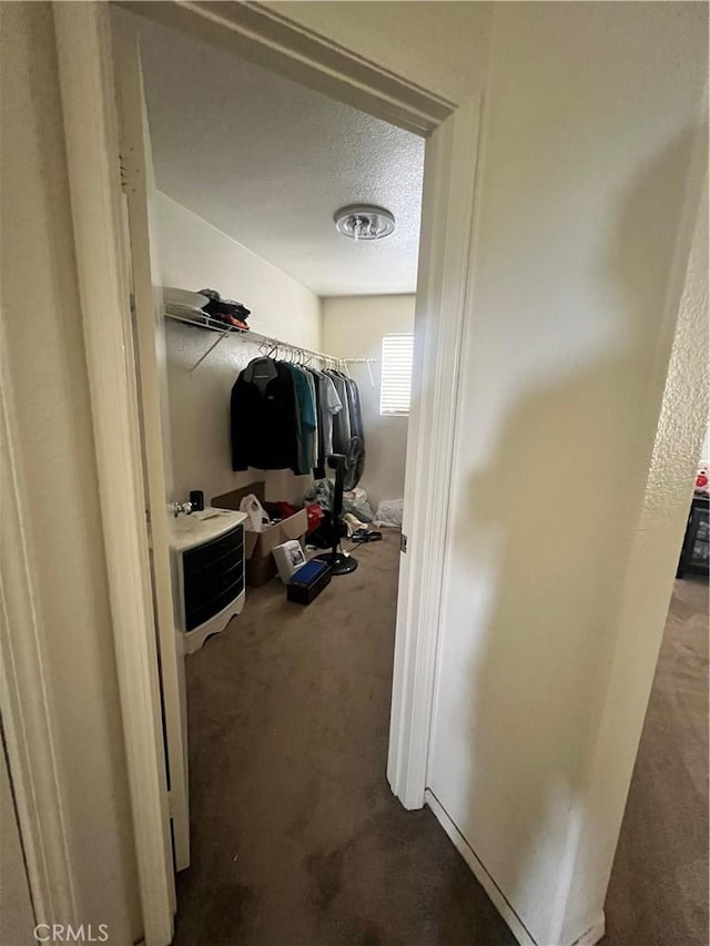 938 Sparrow Way, Perris, CA 92571 - spacious closet with carpet floors