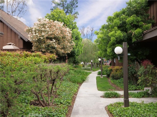 1503 Westmont Dr, San Pedro, CA 90732 - view of home's community