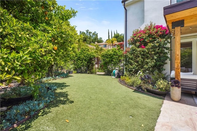 view of yard with fence