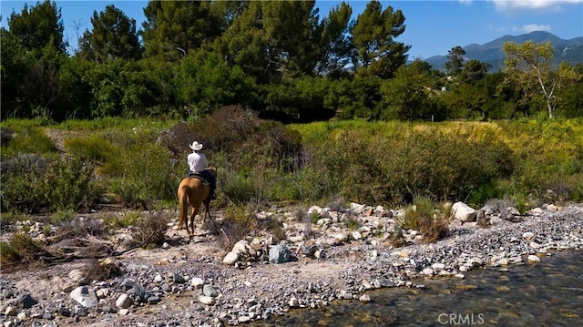 view of local wilderness with a mountain view