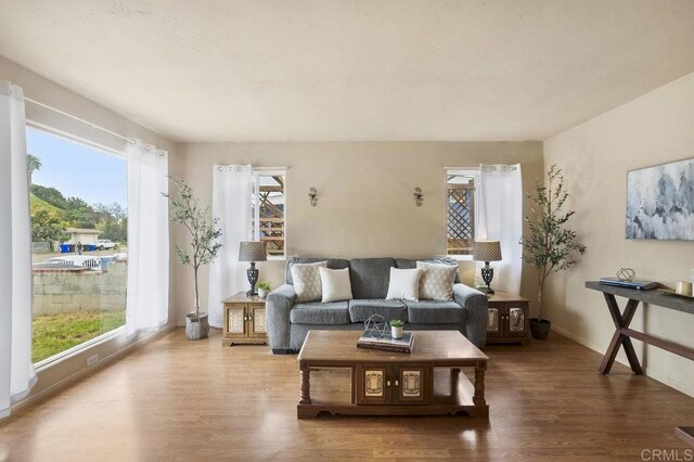 5566 Streamview Dr, San Diego, CA 92105 - living room featuring baseboards, a wealth of natural light, and wood finished floors