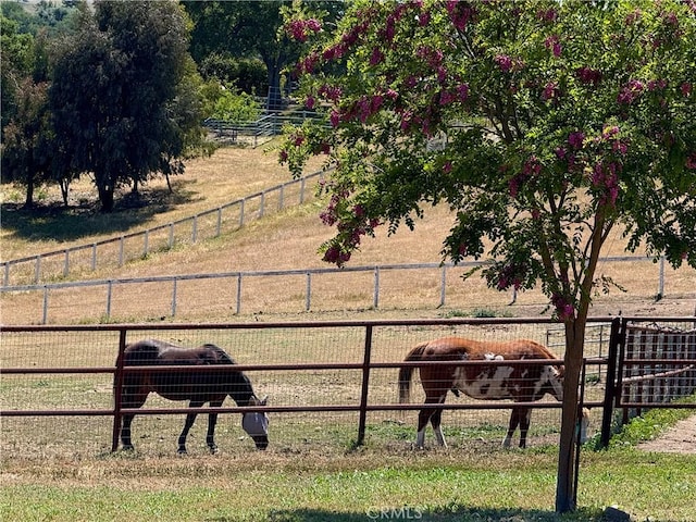 5995 Vista Del Paso Way, Paso Robles, CA 93446 - photo 30