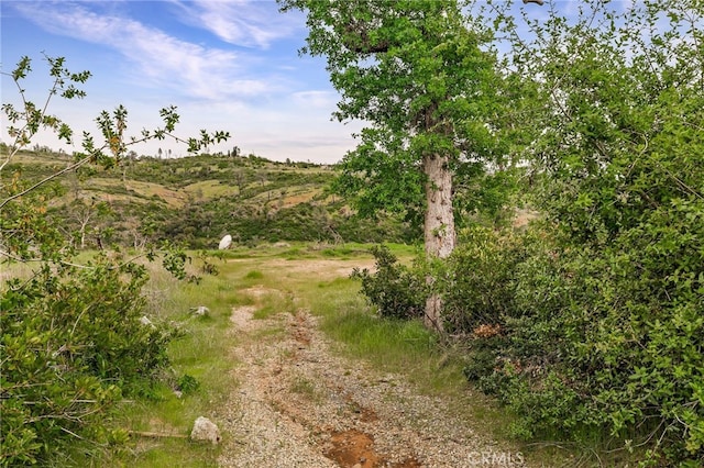 4926 Clark Rd, Paradise, CA 95969 - photo 7
