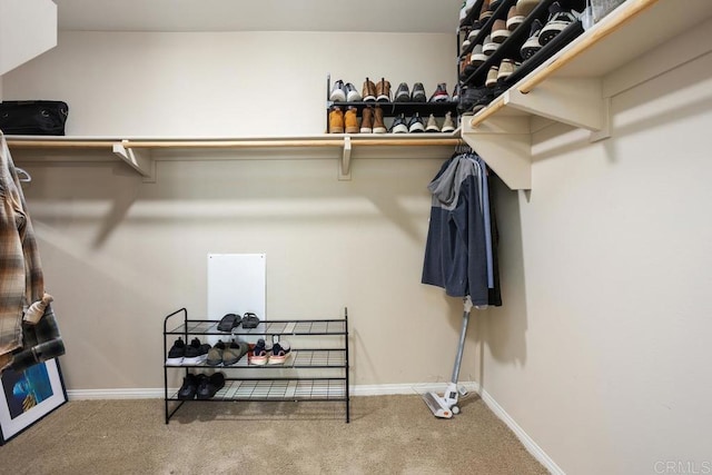 750 Arbor Glen Ln, Vista, CA 92081 - walk in closet featuring carpet floors
