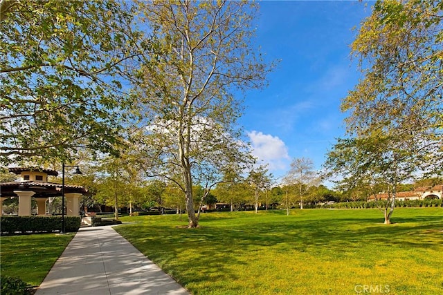 surrounding community featuring a lawn
