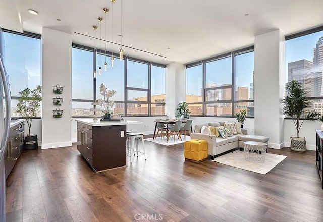 living area with a view of city, baseboards, floor to ceiling windows, and dark wood finished floors