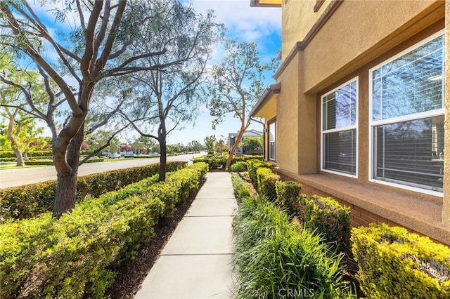 6410 Eucalyptus Ave, Chino, CA 91710 - view of yard