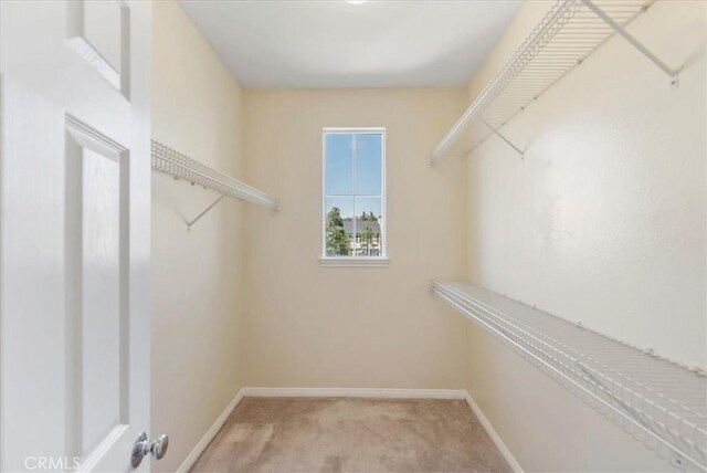 27020 Island Rd, Valencia, CA 91355 - spacious closet featuring carpet
