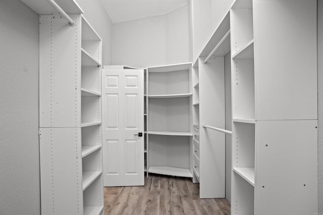 walk in closet featuring light wood finished floors