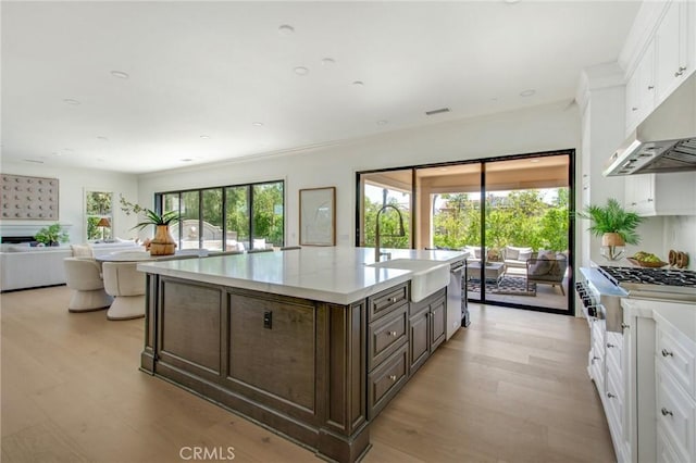 kitchen with appliances with stainless steel finishes, light wood-type flooring, a sink, under cabinet range hood, and white cabinetry