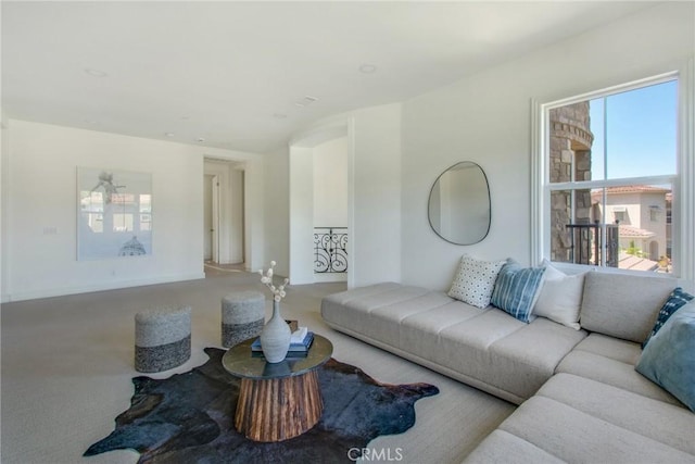 living area featuring carpet