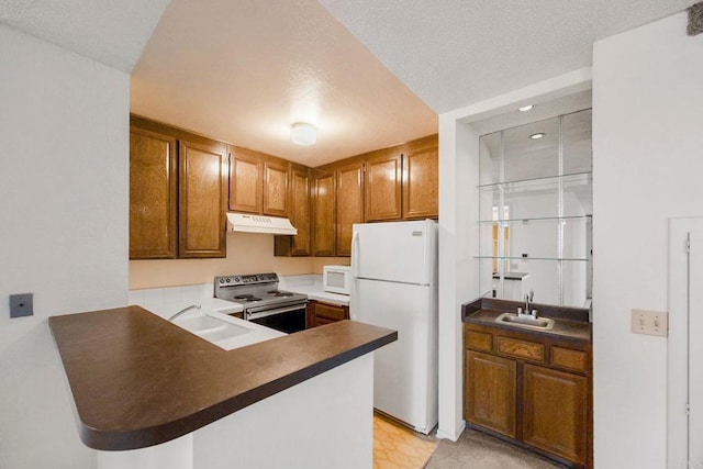 kitchen with a sink, a peninsula, under cabinet range hood, and white appliances