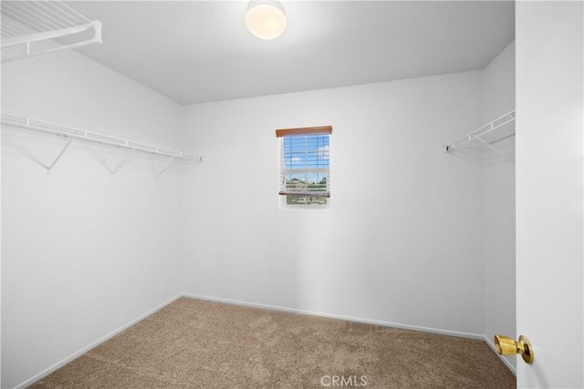 9331 Sapphire Ave, Hesperia, CA 92344 - walk in closet with carpet floors