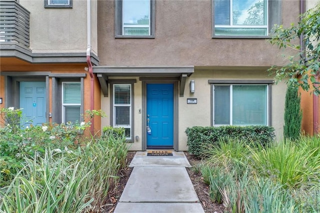view of exterior entry with stucco siding