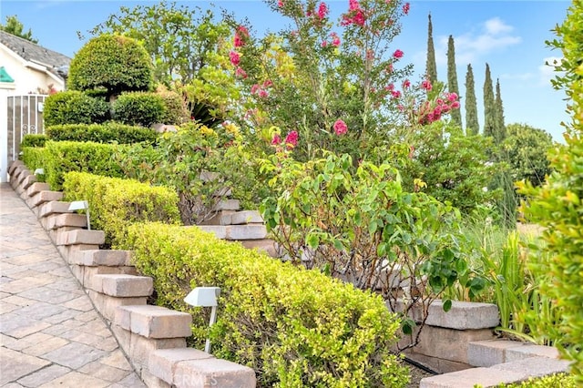 10703 Wheatland Ave, Sunland, CA 91040 - view of yard